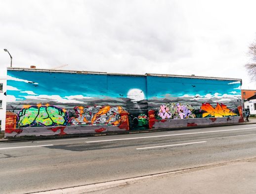 Dieses Foto zeigt die Street Art im Quartier Nordholland 