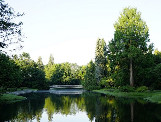 Das Bild zeigt die Insel Siebenbergen umgeben von Wasser. 