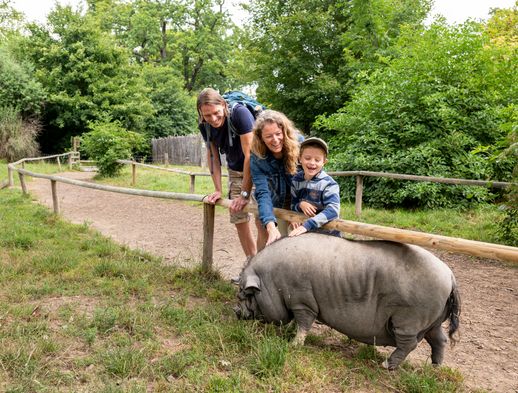 Familie steht bei einem Hängebauchschwein